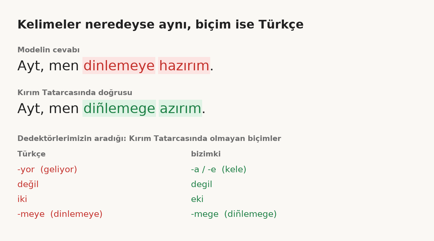 Kart: Türkçe biçimleri işaretlenmiş model cevabı «Ayt, men dinlemeye hazırım» ve doğrusu «Ayt, men diñlemege azırım». Altta dedektörlerin aradığı dört çift: -yor ve -a/-e, değil ve degil, iki ve eki, -meye ve -mege.